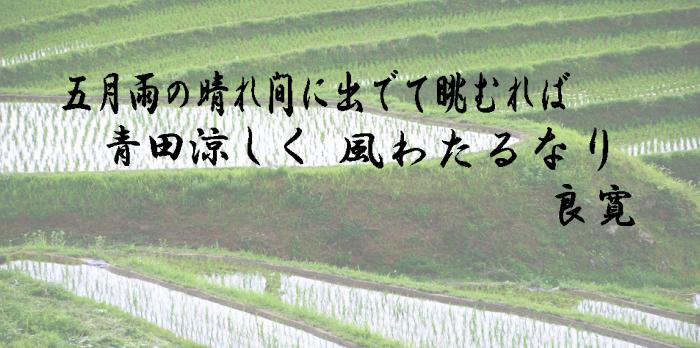 青田
